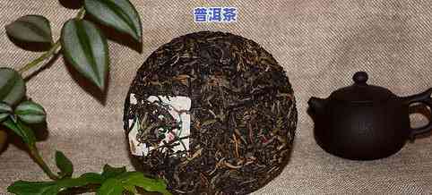 贡一普洱茶纪念：珍藏版价格全览