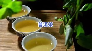 普洱茶生茶茶汤琥珀色：色泽特点与形成起因解析