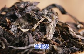 冰岛普洱茶是哪个茶区，探秘冰岛普洱茶的产地：它究竟属于哪个茶区？