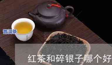 碎银子茶功效与禁忌，探索碎银子茶的神奇功效与重要禁忌