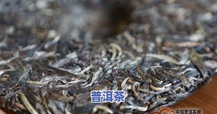 博友普洱茶，品鉴博友普洱茶：特别的口感和丰富的历史文化