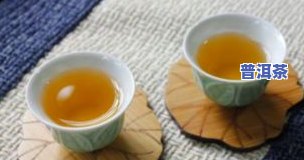 普洱茶解释，探索神秘的普洱茶：定义、历史与鉴赏方法