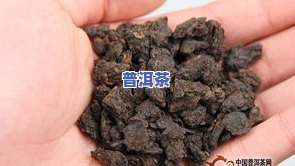 碎银子茶的好坏区分-碎银子茶品质怎样