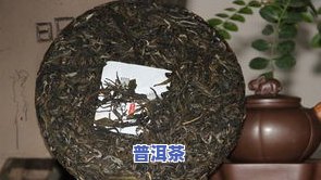 易武弯弓普洱茶生茶：特点与价格全解析