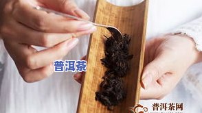 普洱茶用刀还是夹子，普洱茶：选择用刀还是夹子来处理？