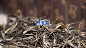 高山原味普洱茶价格表 - 熟悉最新价格信息