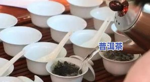 高山原味普洱茶价格表 - 熟悉最新价格信息