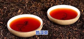 喝点普洱茶，享受健康生活：品味普洱茶的无穷魅力