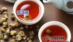 老班章哪家正宗？比较各大的优劣，找出更好的选择！