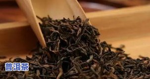 德清茶叶属于什么茶种类，探秘德清茶叶：它属于哪一种茶呢？