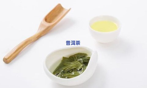 普洱茶加工推荐什么茶叶-普洱茶加工推荐什么茶叶好