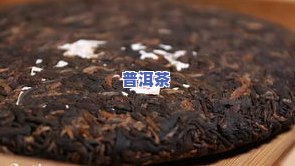 清芷普洱茶旗舰店是真的吗，【真相揭秘】清芷普洱茶旗舰店：您所关注的是不是真实存在？