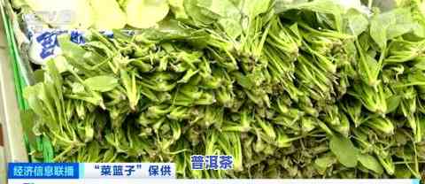 山西十大名茶，探寻山西之美：揭秘十大名茶的魅力