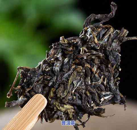 山西十大名茶，探寻山西之美：揭秘十大名茶的魅力