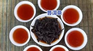 普洱生茶和熟茶怎么喝好-普洱生茶和熟茶怎么喝好呢