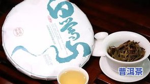 宫廷普洱熟茶怎么样啊，探秘宫廷普洱熟茶：口感、功效及选购指南