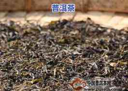 大益茶系列茶介绍，探索大益茶的丰富世界：系列茶全面解析