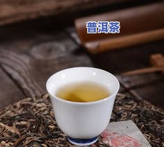 哥德堡号之旅普洱茶7361：口感、品质对比测评