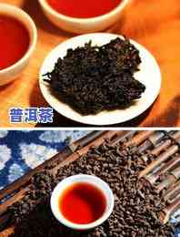 普洱茶管理办法-普洱茶管理办法最新