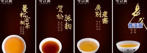 茶叶大红袍和普洱茶哪一个好一点，大红袍与普洱茶：哪个更好？