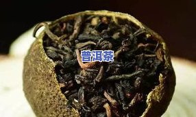 古树普洱茶叶，品味千年历史：探索古树普洱茶叶的魅力