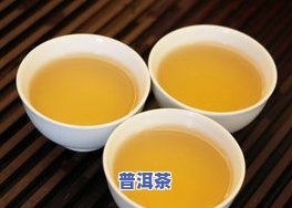 普洱茶初制过程是指：从采摘到加工的全过程解析