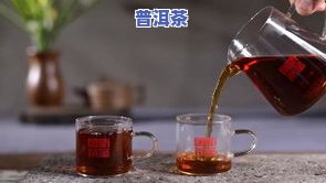 渤海原味普洱茶价格查询：多少钱一斤？最新价格表一览