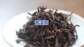 为什么喝不惯普洱茶，探究为何有人难以适应普洱茶的味道