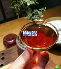 小青柑普洱茶包装纸图片-小青柑普洱茶包装纸图片大全