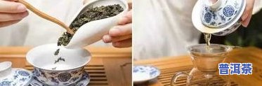 普洱茶竖向图片大全价格-普洱茶图解