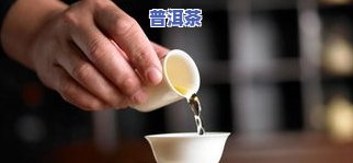 普洱茶的冲泡视频，学习怎样冲泡美味的普洱茶：详细步骤视频教程