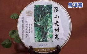 云南临沧普洱茶：口感如何？值得一试吗？