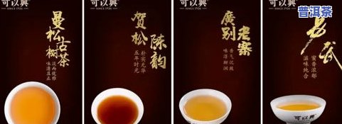 男士泡茶手法普洱茶-男人泡普洱茶视频