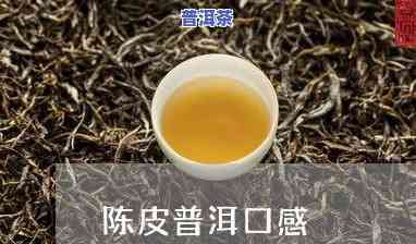 探究老班章茶汤浑浊的起因及作用因素