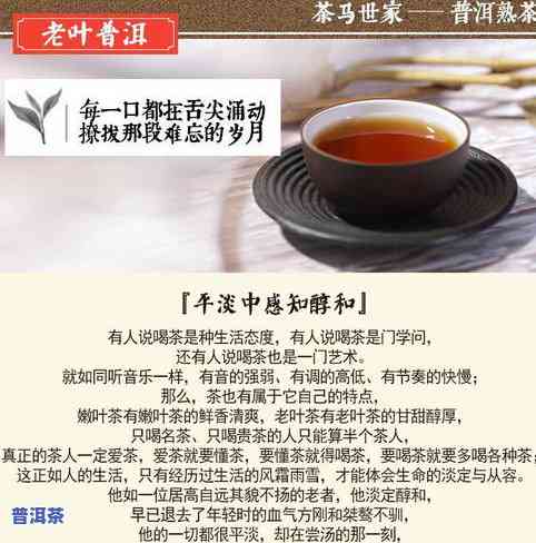 为什么叫普洱老茶头呢，「解密」普洱老茶头的由来：为何被称为