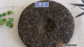 普洱茶板山：2008年春季特级青砖价格一览