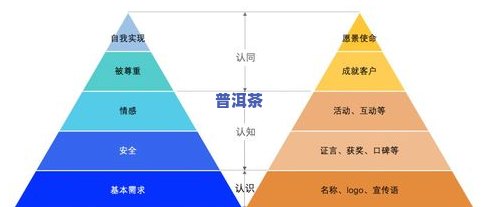 掌握熟普冲泡时间和温度：全攻略！