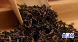 糯米香普洱茶价格全解析：一斤、茶鼎房售价多少？