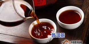 大益普洱茶搭配-大益普洱茶搭配什么好喝