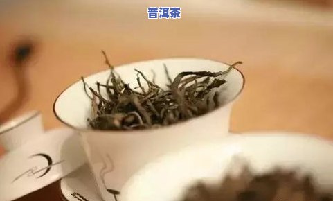 普洱茶毛毫-普洱茶的毫毛