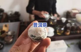 普洱茶叶是寒性、热性还是温性？