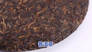 老树樟香熟普的特点-樟香老树普洱茶