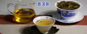 普洱茶的水路是什么意思，解读普洱茶的水路：理解其独特的口感和品质特征