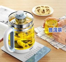 怎样用养生壶泡普洱茶-怎样用养生壶泡普洱茶好喝