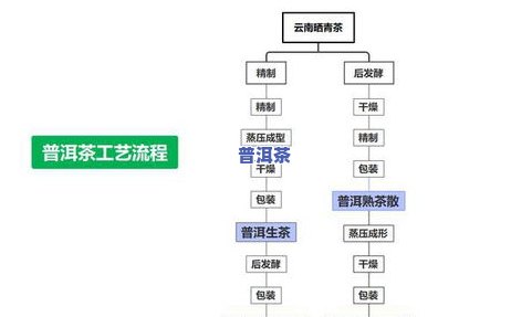 熟普的制作工艺流程要多久，深度解析：熟普的制作工艺流程需要多长时间？