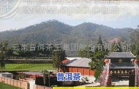 南糯山普洱茶价格357克，【2022年最新价】南糯山357g普洱生茶价格行情表，古树纯料一手茶农直销