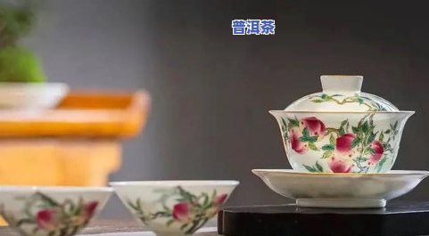 熟普都有哪些茶，探索熟普的世界：熟悉熟普的各类茶品