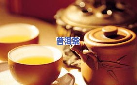 普洱茶官网，探索普洱茶的世界：欢迎访问普洱茶官网