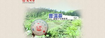 普洱茶管网-普洱茶官网