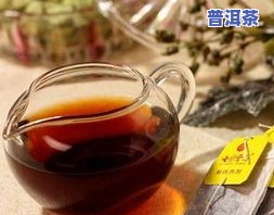 不老的普洱茶仓有哪些品种-不老的普洱茶仓有哪些品种图片